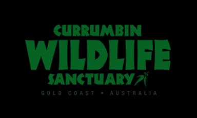 currumbin